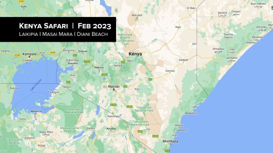 Kenya Safari - 2023